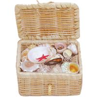 105142 ΚΑΛΑΘΙ ΜΕ ΟΣΤΡΑΚΑ 4Χ4